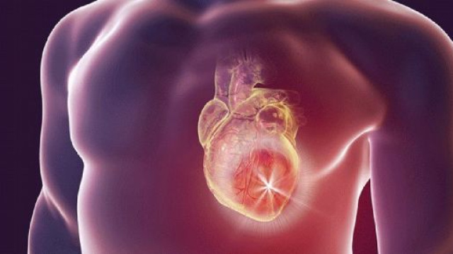 Un batterio intestinale (Escherichia Coli) potrebbe essere una delle Cause della formazione di trombi e dell&rsquo;infarto. Una scoperta italiana.