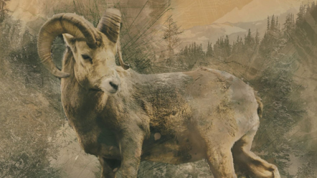 Previsioni astrologiche di sabato 18 e domenica 19 gennaio: Capricorno ostinato, Ariete perplesso.