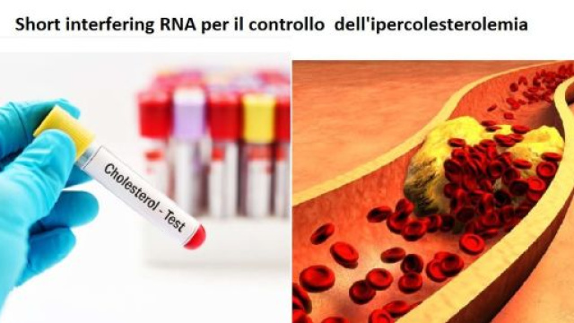 Un siRNA per il silenziamento del gene codificante PCSK9 per ridurre i livelli di LDL-C.