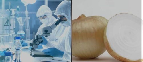 Descubren un pigmento que reduce la presi&oacute;n arterial.