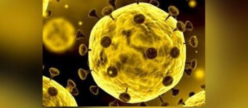 La Organizaci&oacute;n Mundial de la Salud (OMS) se encuentra en alerta debido a un nuevo virus que hasta el momento es un misterio