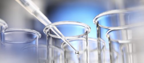 LATE do Albert Einstein identificou o novo v&iacute;rus da febre hemorr&aacute;gica. (Arquivo Blasting News)