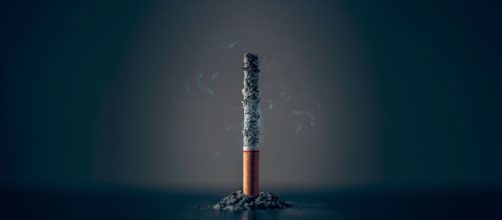 Photo by Mathew MacQuarrie on Unsplash