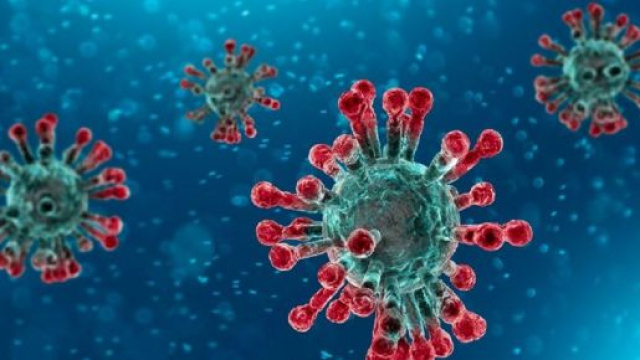 I primi casi di polmonite da coronavirus 2019-nCoV, sono stati registrati al mercato di Huanan Seafood, nella citt&agrave; di Wuhan, nella Cina centrale