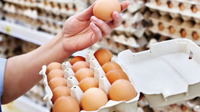 Uova Conad e Amadori ritirate dal mercato per contaminazione batterica.