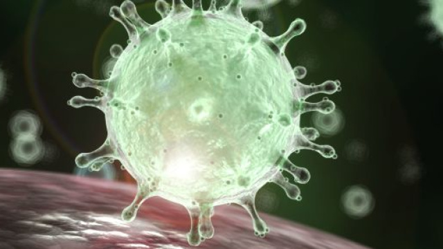 Coronavirus, il direttore del TgCom24: 'I morti sarebbero migliaia secondo fonti certe di informazione'