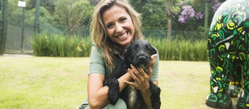 'BBB20': Luisa Mell cobra uma explica&ccedil;&atilde;o da Globo depois de coment&aacute;rio sobre zoofilia. (Arquivo Blasting News)