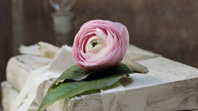 L'oroscopo dell'amore di coppia del 30 gennaio.