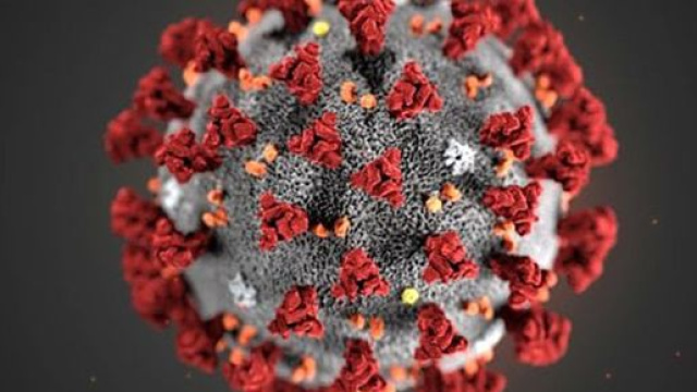 Coronavirus, rientreranno il 3 febbraio gli italiani sino a ora nella localit&agrave; di Wuhan.