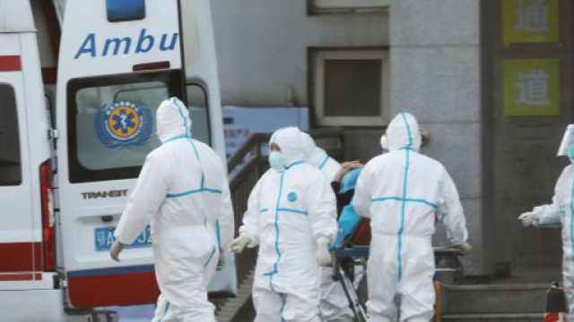 Emergenza globale per il coronavirus