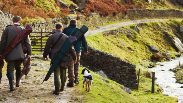 Chasse: il manque sa cible, la balle termine dans la cuisine