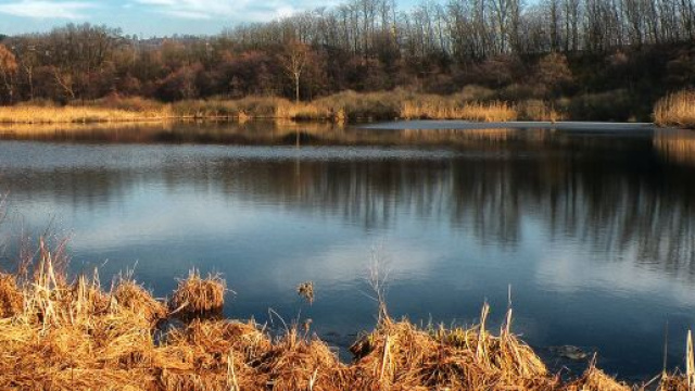 Oasi del Bassone: ritrovati resti umani, indagini a tutto campo