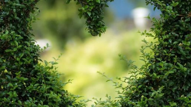 Oroscopo 8 gennaio: Leone deve cercare di evitare i saldi, Sagittario in soferenza