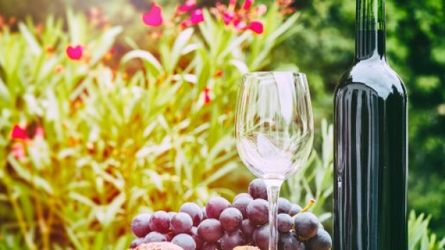 Ad Assisi il 13 gennaio torna l'expo dei vini naturali italiani