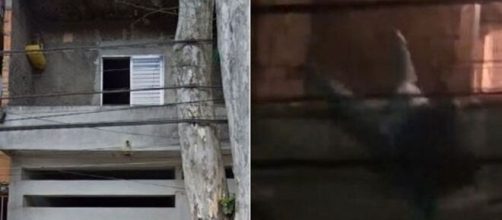 Idosa cai da laje durante baile funk em SP. (Reprodu&ccedil;&atilde;o/Record TV)