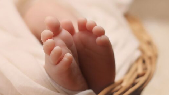 Abbandonato neonato a Verona, si cerca la madre.