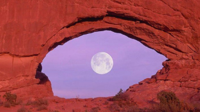 Oroscopo e classifica su fortuna e lavoro di novembre: finanze top per Cancro e Pesci.