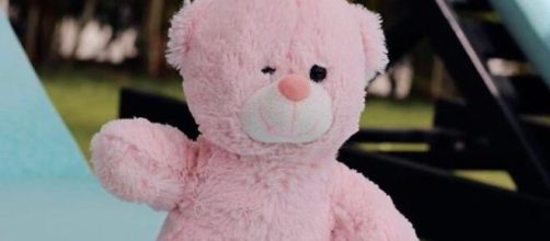 Rosito muere en la hoguera de 'LIDT 2' y Espa&ntilde;a llora su tr&aacute;gico ... - bekia.es