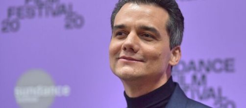 Naturalmente apaixonado, o canceriano &eacute; muito apegado. (Arquivo Blasting News)