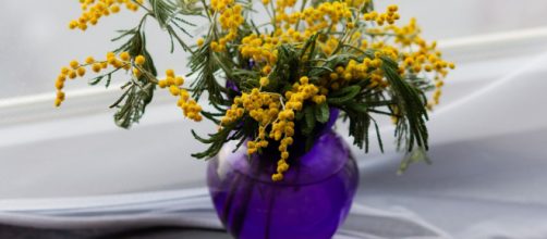 Special florists' tricks to help your fresh cut flowers last longer - [Source: Pixabay.com]