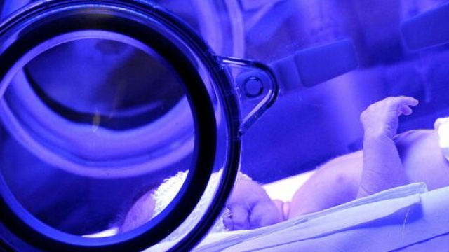 Palermo, neonata positiva al coronavirus abbandonata all'ospedale Di Cristina.