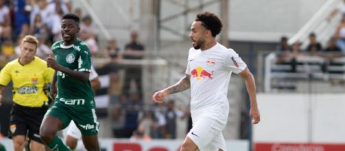 Bragantino x Palmeiras ser&aacute; o duelo paulista das oitavas de final da Copa do Brasil. (Arquivo Blasting News)