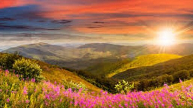 Oroscopo weekend dal 31 ottobre al 1 novembre: decisioni per Gemelli, Leone in famiglia.