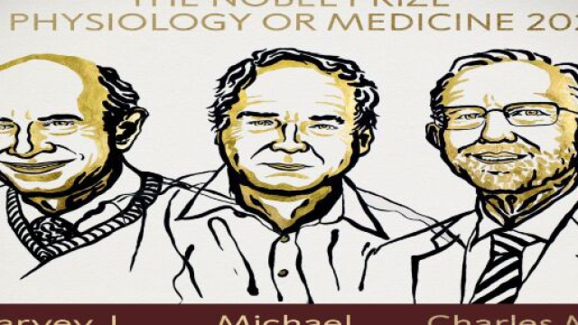 Premio Nobel per la Medicina 2020 assegnato a Alter, Houghton e Rice.