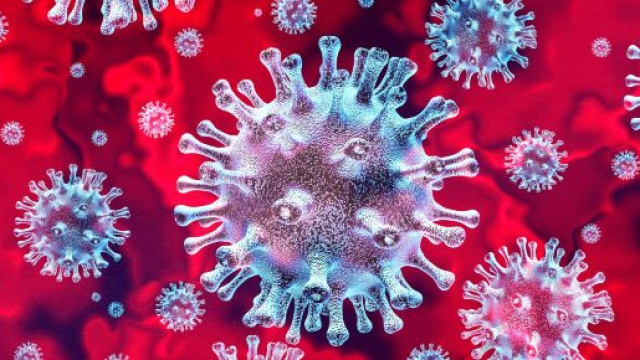 Coronavirus Disease (COVID-19) Information for Dialysis Patients ... - dpcedcenter.org