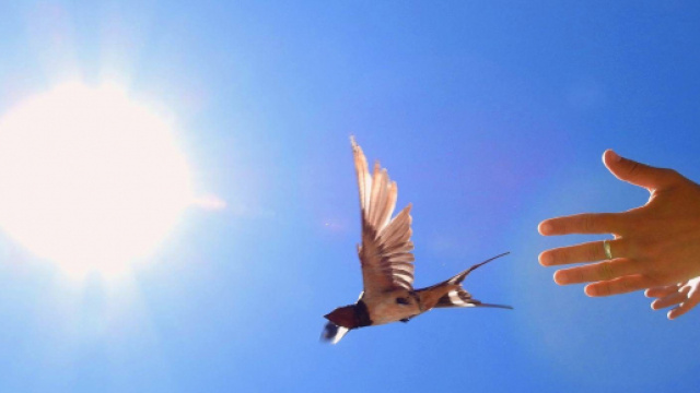 L'oroscopo di domani 5 novembre, 1&ordf; sestina: ottimo gioved&igrave; per Toro e Cancro.