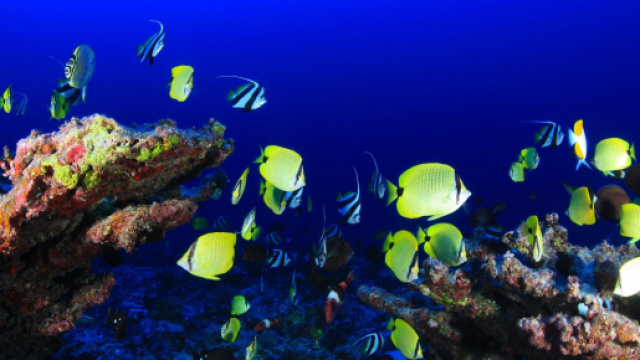 Oroscopo e classifica di marted&igrave; 6 ottobre: incontri per Vergine, Pesci pigri.