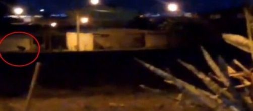 V&iacute;deo de internauta flagra suposto lobisomem caminhando sobre as ruas de Ceil&acirc;ndia.