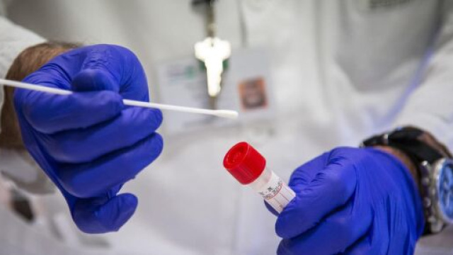 Coronavirus, Oms fiduciosa per avere un vaccino entro fine anno.