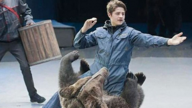 Mosca: operaio del circo sbranato da un orso.