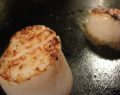 Seared lemon scallop salad recipe