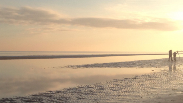 L'oroscopo di domani 17 novembre: Toro e Gemelli primi in classifica, Leone gi&ugrave; (1&ordf; met&agrave;).