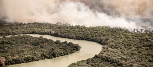 Desmatamento da floresta amaz&ocirc;nica. (Arquivo Blasting News)