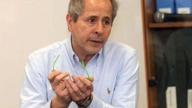 Coronavirus, Andrea Crisanti: 'Senza lockdown a gennaio avremo una terza ondata'.