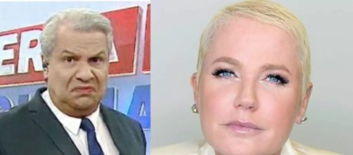 Ap&oacute;s processo, Sik&ecirc;ra Jr. afronta Xuxa em programa. (Fotomontage)