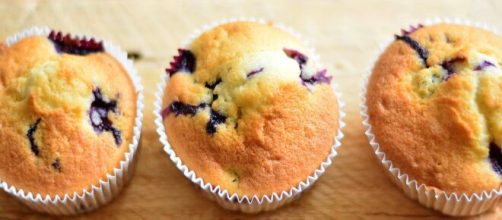 Muffins [Source: congerdesign - Pixabay]