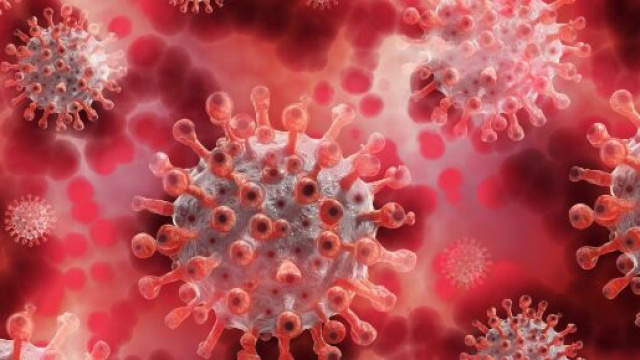 Uno studio sulla diffusione del coronavirus.