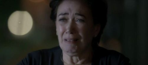 Silvana cai em tenta&ccedil;&atilde;o por jogos em "A For&ccedil;a do Querer". (Reprodu&ccedil;&atilde;o/TV Globo)