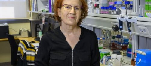 Margarita del Val advierte de una tercera oleada del virus