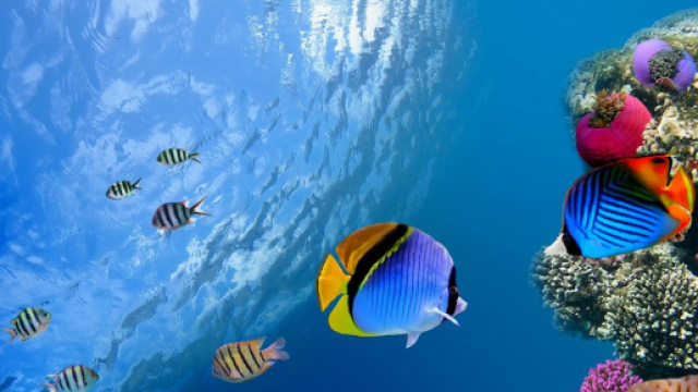 Oroscopo e classifica di mercoled&igrave; 2 dicembre: amore top per Pesci e Scorpione.