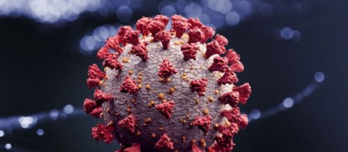 Governo do Rio Grande do Norte confirma 1&ordm; caso de reinfec&ccedil;&atilde;o por coronav&iacute;rus. (Arquivo Blasting News)