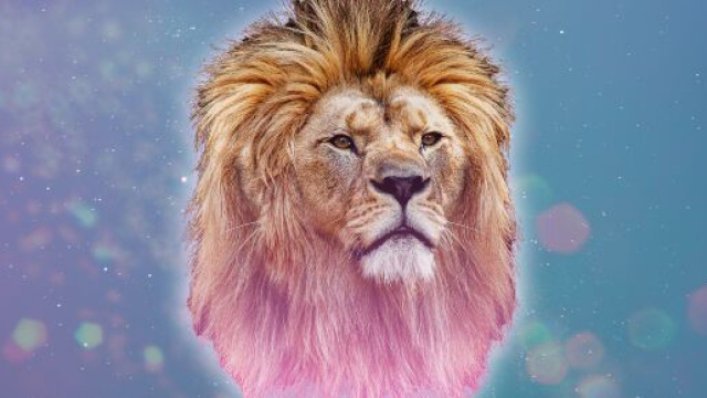 Oroscopo dell'inverno, Leone: Venere e Marte favorevoli.