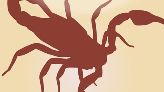 Oroscopo dell'inverno, Scorpione: sorprese da preparare, creativit&agrave; ottima.