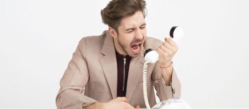 Leoninos s&atilde;o muito irritados quando querem. (Arquivo Blasting News)