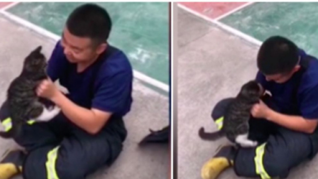 La vid&eacute;o d'un pompier chinois fait le buzz sur les r&eacute;seaux sociaux - Photo capture d'&eacute;cran vid&eacute;o Daily Mail