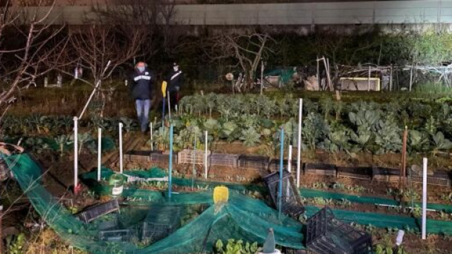 Firenze, il giallo di tre valigie trovate in un campo tra il carcere e la superstrada: contenevano i resti di un uomo e di una donna.